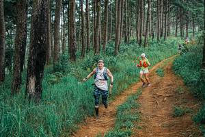 BIB: 
                            <button type="button" onclick="openModal(25659147)" class="btn btn-primary btn-sm float-right btn-popup" data-toggle="modal" data-target=".modal-high-quality">
                        <i class="fas fa-shopping-cart"></i> Add to Cart
                    </button>
                                            <button type="button" onclick="isThisMe(25659147, true)" class="btn btn-success btn-sm float-right btn-popup btn-isme hidden" data-toggle="tooltip" data-placement="bottom" title="นี่คือรูปของคุณใช่ไหม คลิกที่นี่เพื่อเอาเข้าอัลบั้ม">
                        <i class="fas fa-plus"></i> Add to album
                    </button>
                    <button type="button" onclick="isThisMe(25659147, false)" class="btn btn-warning btn-sm float-right btn-popup btn-isnotme hidden">
                        <i class="fas fa-ban"></i> Remove from album
                    </button>